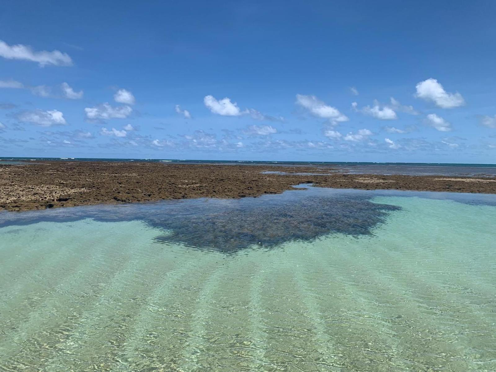 Maui Beach Residence Tamandaré Εξωτερικό φωτογραφία
